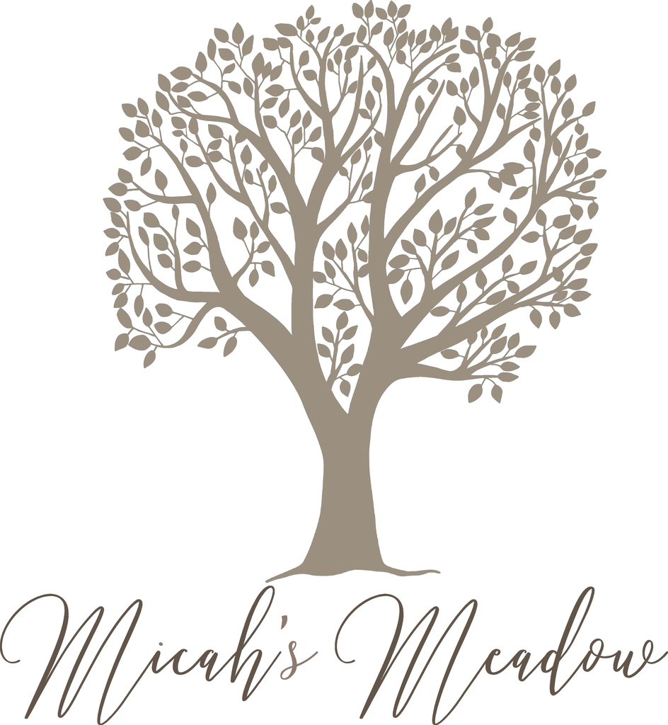 Micah's Meadow - Rustic Corporate Event Space